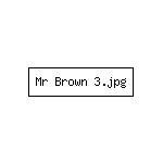 Mr Brown 3.jpg